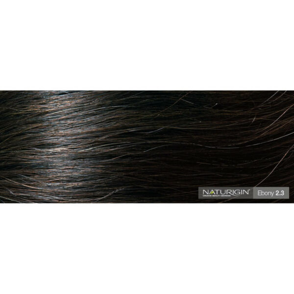 Naturigin Permanent Hair Colour Ebony 2.3 Color on Hair